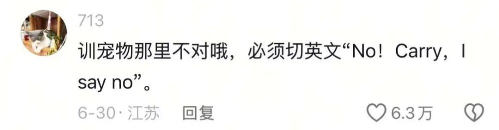 角子機：第一批挨罵的主理人，腸子已經悔青了